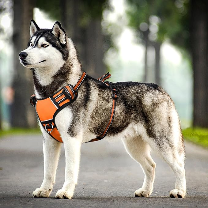 WINSEE Dog Harness No Pull, Adjustable Pet Vest with Front/Back Leash Clips, Reflective Soft Padded Dog Harness for Large Dogs, Easy Control Handle for Walking
