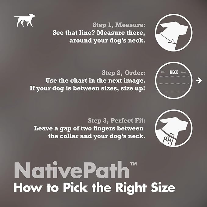 Tuff Pupper Premium Adjustable Dog Collar for Large Boy & Girl Dogs, Stylish Pattern Collars Designed in USA, Quick Release Buckle, NativePath Print, Large (1 Inch Wide x 18-26 Inch Neck)