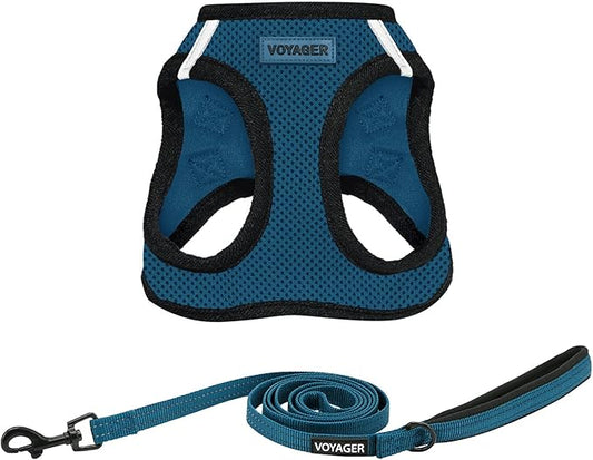 Voyager Step-in Air All Weather Mesh Harness and Reflective Dog 5 ft Leash Combo with Neoprene Handle, for Small, Medium and Large Breed Puppies by Best Pet Supplies - Blue/Black Trim, Large