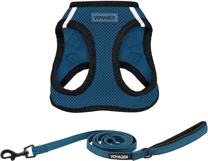 Voyager Step-in Air All Weather Mesh Harness and Reflective Dog 5 ft Leash Combo with Neoprene Handle, for Small, Medium and Large Breed Puppies by Best Pet Supplies - Blue/Black Trim, Small