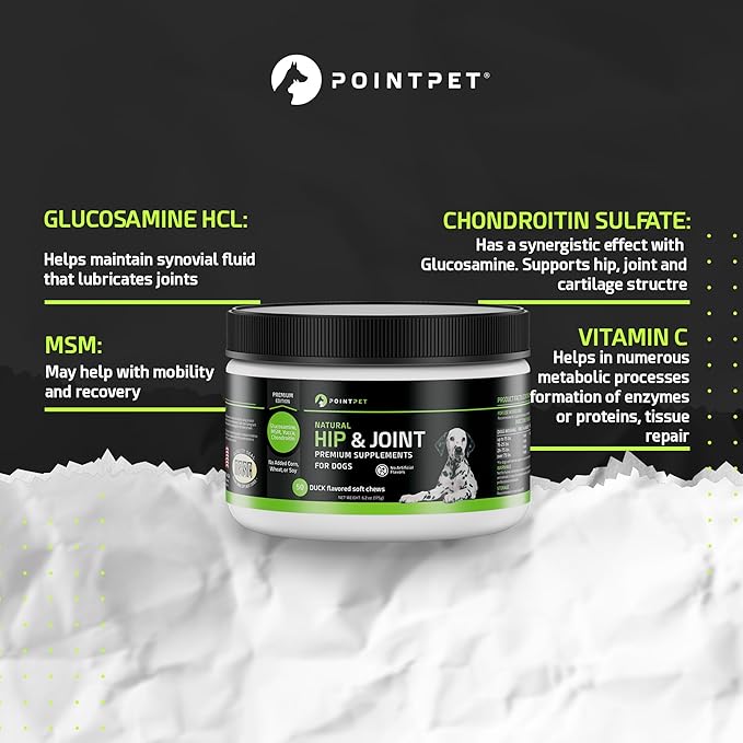 PointPet Glucosamine for Dogs, 50 Count - Hip & Joint Supplement - Dog Mobility Soft Chews Vitamin C & E - Flavour Duck and Pumpkin, Peanut Butter Formula