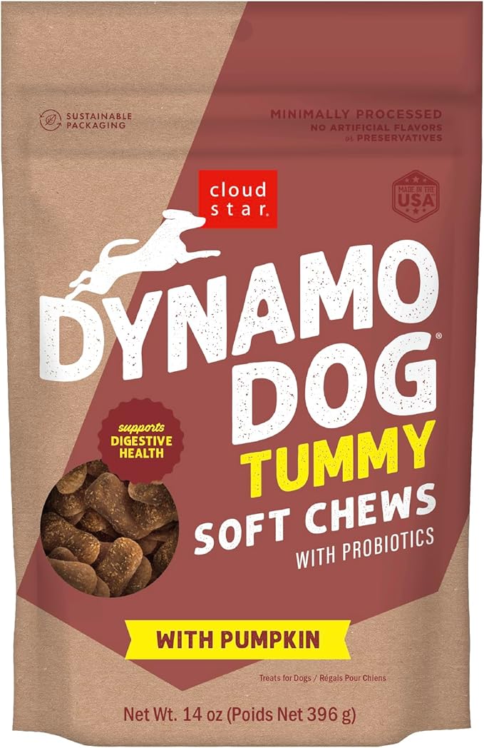 Cloud Star Dynamo Dog Tummy Treats – Soft & Chewy Probiotics Support for Dogs (14 oz. Pumpkin and Ginger) (20212)