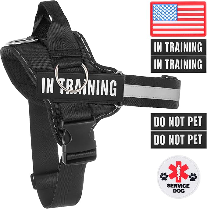 Essential Dog Harness, No Pull Pet Harness with 3 Side Rings for Leash Placement, No Choke, Reflective, Adjustable Pet Vest, Easy On-Off & Improved Control Handle, Training, Walking, Running