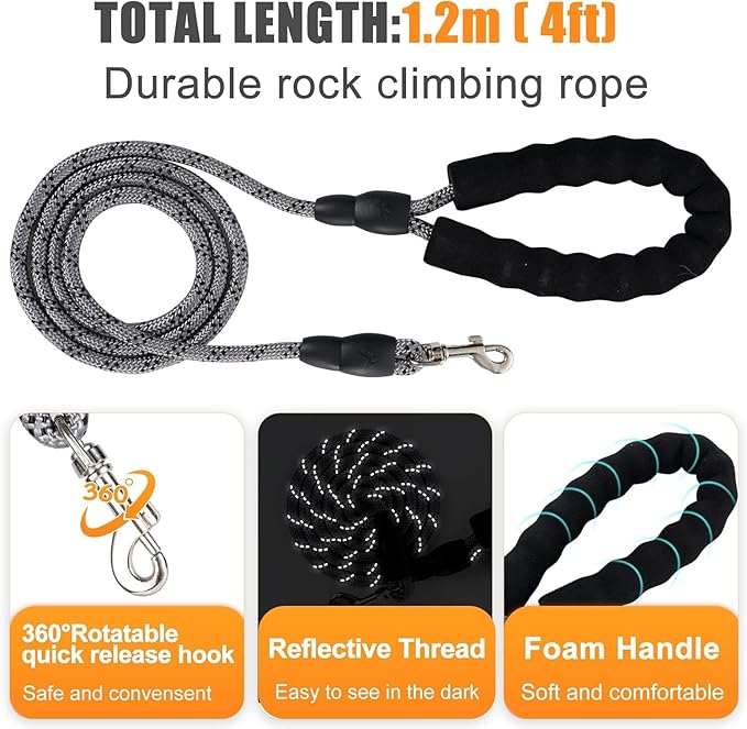 Dog Harness with Leash Set, Step-in Breathable Puppy Cat Dog Vest Harnesses, No Pull Adjustable Reflective Puppy Harness with Soft Padded Vest for Extra-Small/Small Medium Large Dogs and Cats