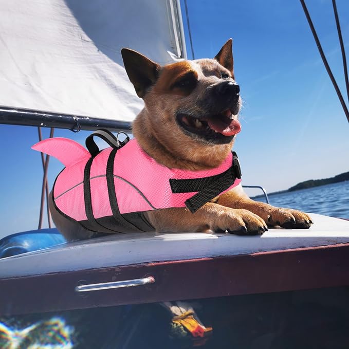 Queenmore Small Dog Life Jacket,Shark Dog Life Vest for Swimming,Puppy Light Life Preserver for Boating Kayaking Canoeing,Pet Reflective Lifesaver with High Buoyancy,Rescue Handle,Leash Hook (Pink,M)