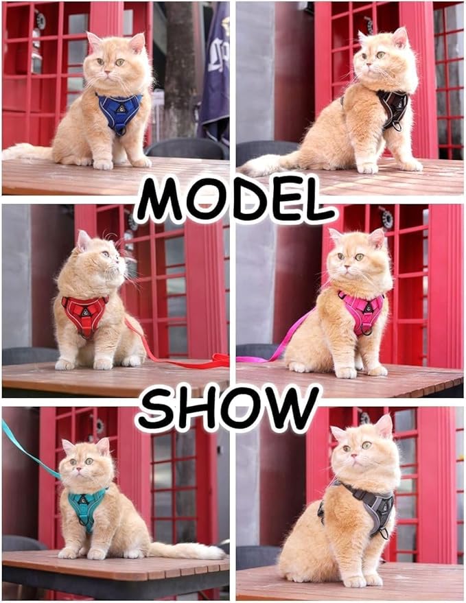 Cat Harness and Leash Set Escape Proof, Adjustable Vest with Lead for Large Cat Small Dog Puppy Walking, Soft Jacket Reflective Strips,L Red
