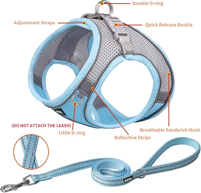 AIITLE Dog Harness, Spring No-Pull Cat Harness with a Leash, Adjustable Reflective Dog Vest, Cat Harness Escape Proof, Outdoor Walking, Camping for Extra Small Dogs and House Cats Blue XXXS