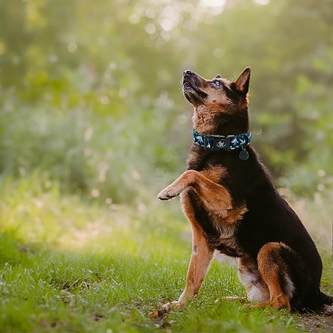 Elegant little tail Dog Collar, Dinosaurs Print Blue Puppy Male Adjustable Cotton Pet Collar with Quick Release Buckle for Small Medium Large Dogs