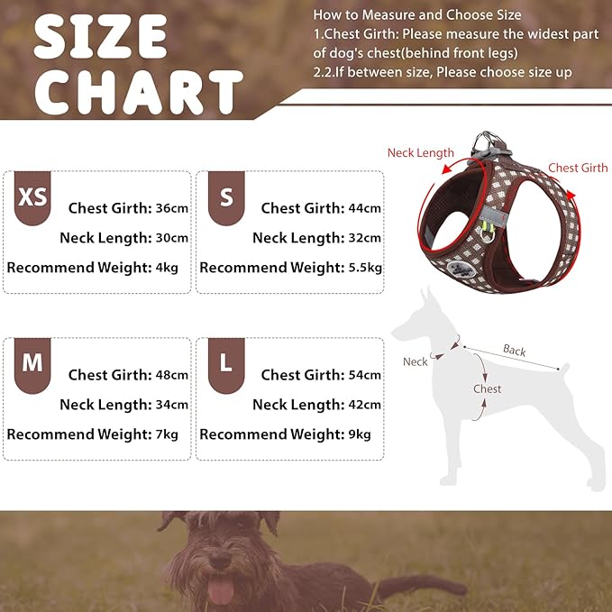 Gyuzh Dog Harness and Leash Set,Soft Mesh Breathable Small Dog Harness,Reflective Adjustable Puppy Harness,No Pull Pet Harness for Small Dogs and Cats