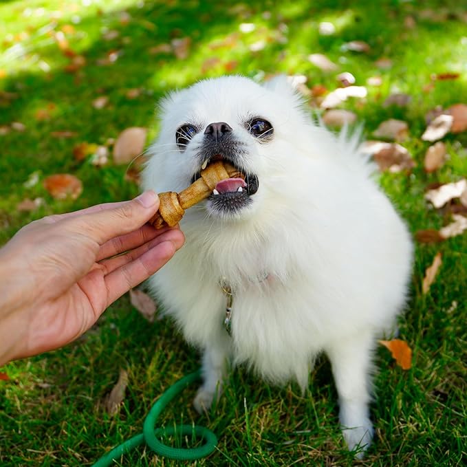 MON2SUN Dog Rawhide Knot Bones Small Rawhide Bones Mini Chews Chicken Flavour 2.5 Inch 100 Count for Puppy and Small Dogs