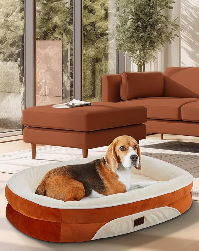 OhGeni Orthopedic Dog Couch Large Sized Pet Beds for Fathers Gifts with Comfort Foam Support, Soft Indestructible Fabric, Machine Washable Waterproof Removable Cover, 35-Inch (Orange)