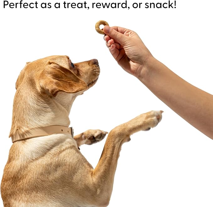 Wild One Organic Natural Crunchy Baked Dog Treats Made in The USA Peanut Butter & Jelly 8 Ounce 3 Pack
