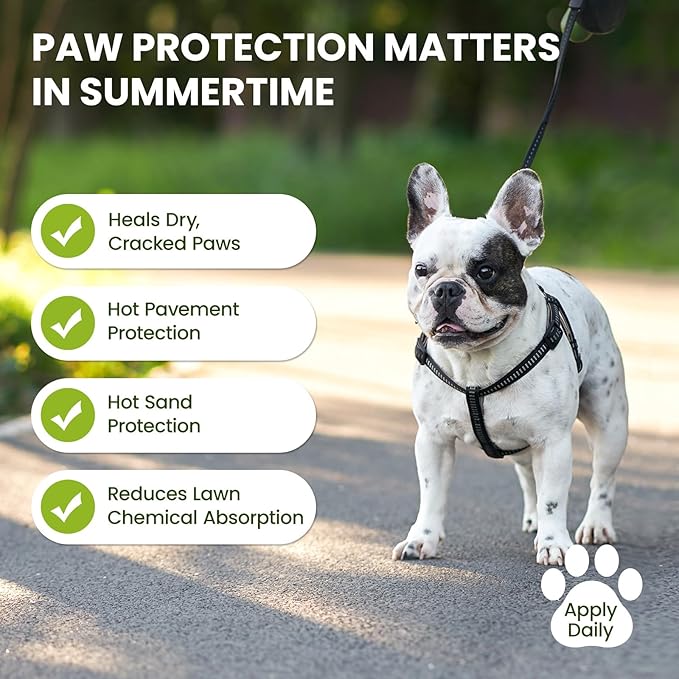 Lick-Safe Dog Paw & Nose Balm with Coconut Oil | All-Natural Paw Cream & Wax for Dry, Cracked Pads & Snouts| Cat Moisturizer & Soother, Nose Butter for Bulldogs| Horse Hoof Care (60 g /2.1 oz)