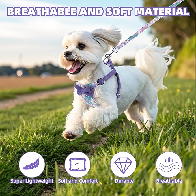 PUPTECK Dog Harness and Leash Set Small Sized, Step-in Cute Puppy Harness, Soft Lightweight Padded Vest, Escape Proof No Pull Pet Harnesses Easy for Walking, Flower Purple, S