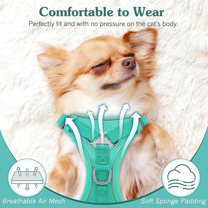 Cat Harness and Leash Set for Walking, Adjustable Kitten Vest Harness with Reflective Strip Breathable Mesh, Escape Proof Soft Pet Safety Vest for Cats, Kittens, Puppies, L, Lake Blue
