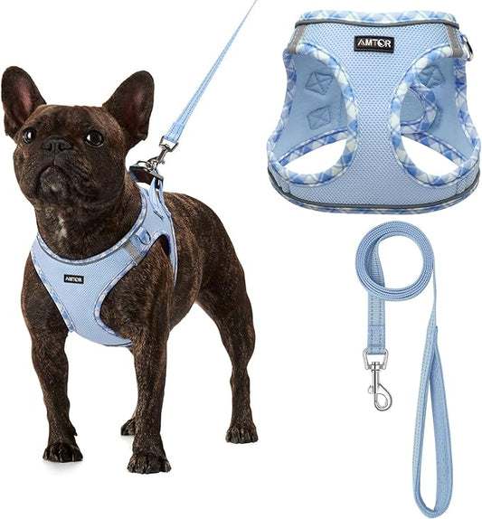 AMTOR Small Dog Harness with Leash Set, No Escape Easy Walk Puppy Harnesses for Training Walking, Step-in Reflective Soft Dogs Vest for XS S Medium Extra-Small Large Sized Dog(XXS Size,Blue/White)