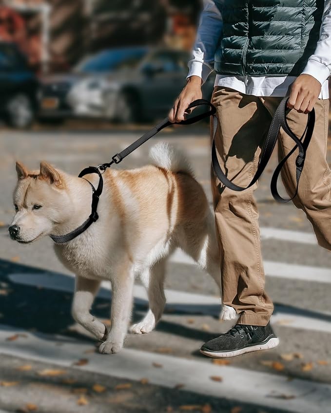 FunTags Reflective Martingale Collar for Dogs, Quick Release Buckle, 5FT Double Handle Dog Leash Padded, Dog Collar and Leash Set, Adjustable for Medium Dogs (Black, M)