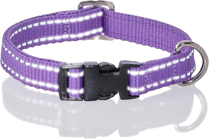Adjustable Reflective Dog Pet Collar for Small, Medium and Large Dogs, Purple, Medium