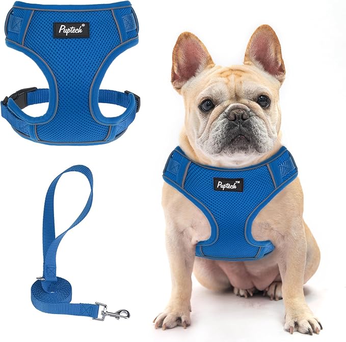PUPTECK Dog Harness and Leash Set for Small Medium Dogs No Pull, Soft Mesh Adjustable Puppy Cat Harness Reflective at Night, Deep Blue S