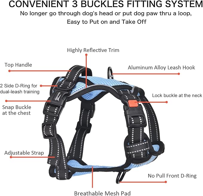 Petmolico No Pull Dog Harness and Leash Set, No Choke 4 Leash Attchments Easy Control Handle Soft Padded Reflective Vest Dog Harness for Small Dog Breed, Sky Blue Small