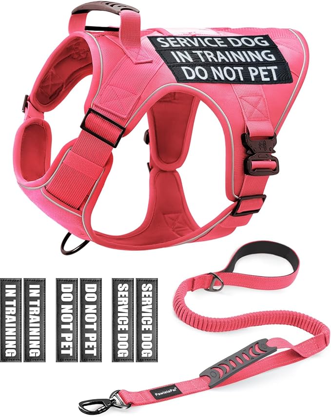 Reflective Pink Service Dog in Training Vest Harness Leash Set for Medium Dogs, Adjustable Heavy Duty Padded Dog Harness, with Front Clip and Metal Buckles Do Not Pet for Training, Hiking
