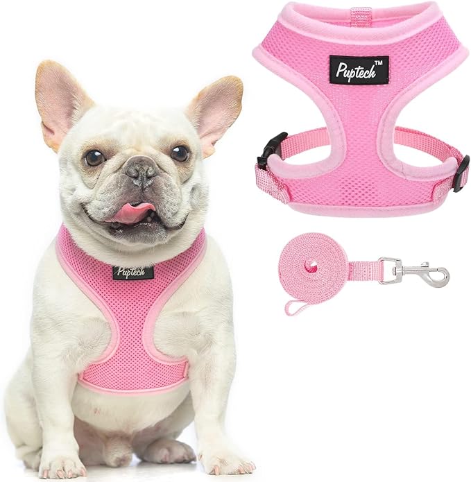 PUPTECK Soft Mesh Dog Harness and Leash Set Pet Puppy Cat Comfort Padded Vest No Pull Harnesses, Solid Pink, M