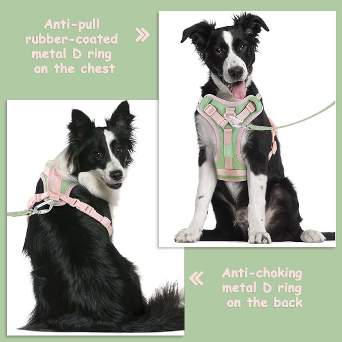 No Pull Dog Harness Adjustable Soft Padded Pet Vest with Control Handle Adorable Daily Harness for Dogs（Mint Green L）
