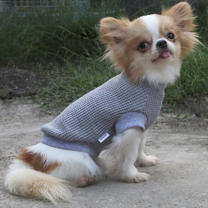 LOPHIPETS Lightweight Dog Sweaters for Puppy Small Dogs Puppy Chihuahua Yorkie Clothes-Gray/XL