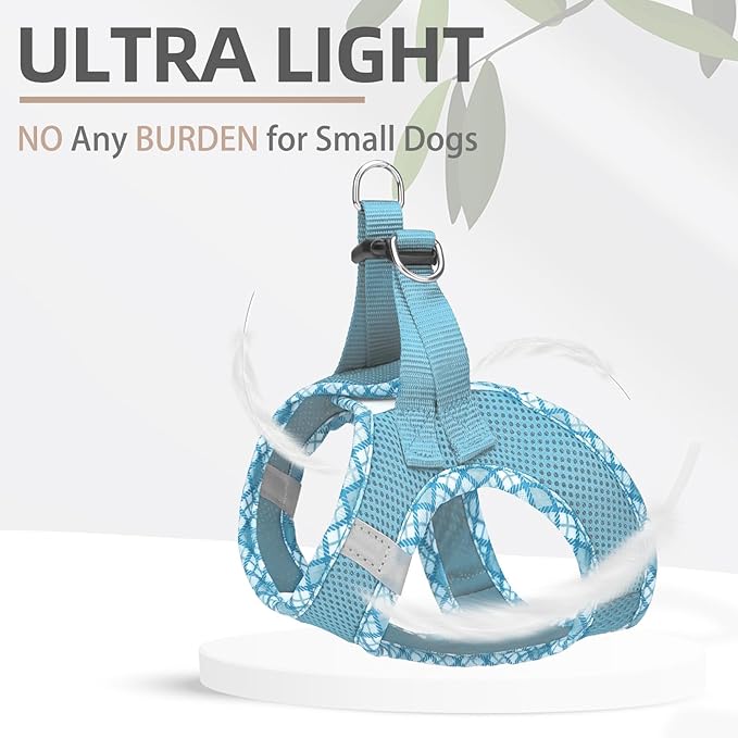 PUPTECK Dog Harness and Leash Set for Small Medium Dogs No Pull Step-in Soft Mesh Puppy Cat Vest Harnesses Reflective at Night, Sky Blue, M