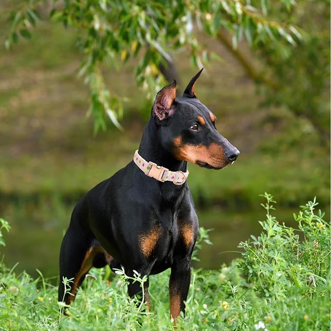 Metal Buckle Dog Collar, Durable Adjustable Dog Collar Soft for Small Medium Large Dogs (Pink Point, M(13-18in)
