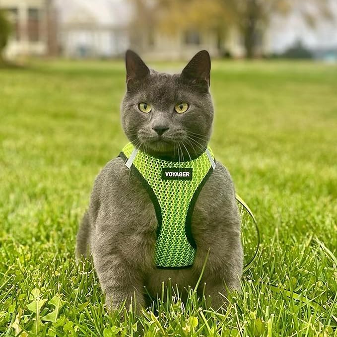 Voyager Step-in Air All Weather Mesh Harness and Reflective Dog 5 ft Leash Combo with Neoprene Handle, for Small, Medium and Large Breed Puppies by Best Pet Supplies - Lime Green (2-Tone), M