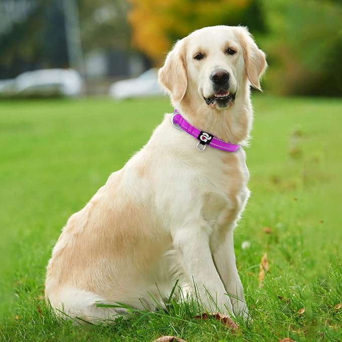 azuza Reflective Dog Collar,Soft Neoprene Padded Pet Collar with ID Tag Ring,Adjustable for Large Dogs,Purple,L