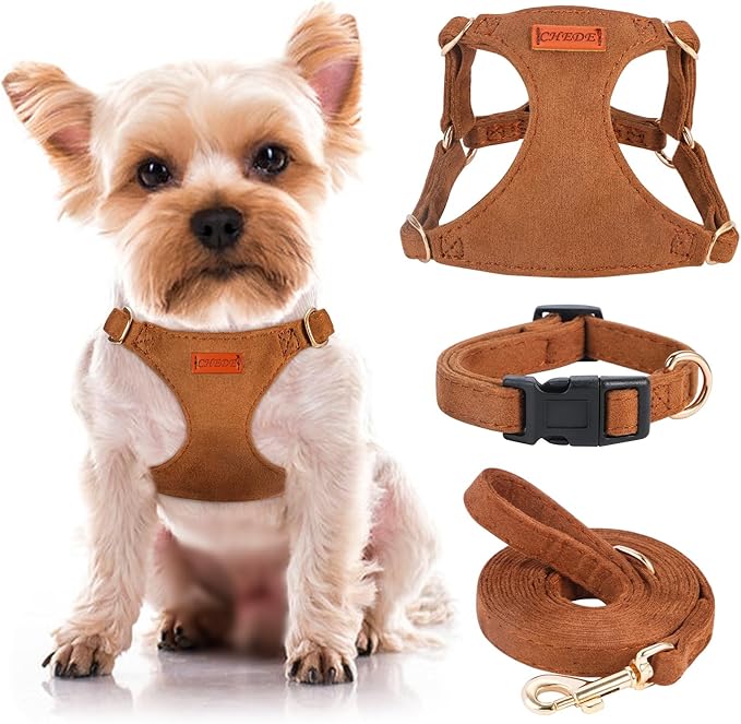 No Pull Dog Harness- Lightweight, Soft, Adjustable Small Harness Collar and Leash Set, Suitable for Cats Puppy Small and Medium-Sized Dog Outdoor Training and Running (Brown, XXS)