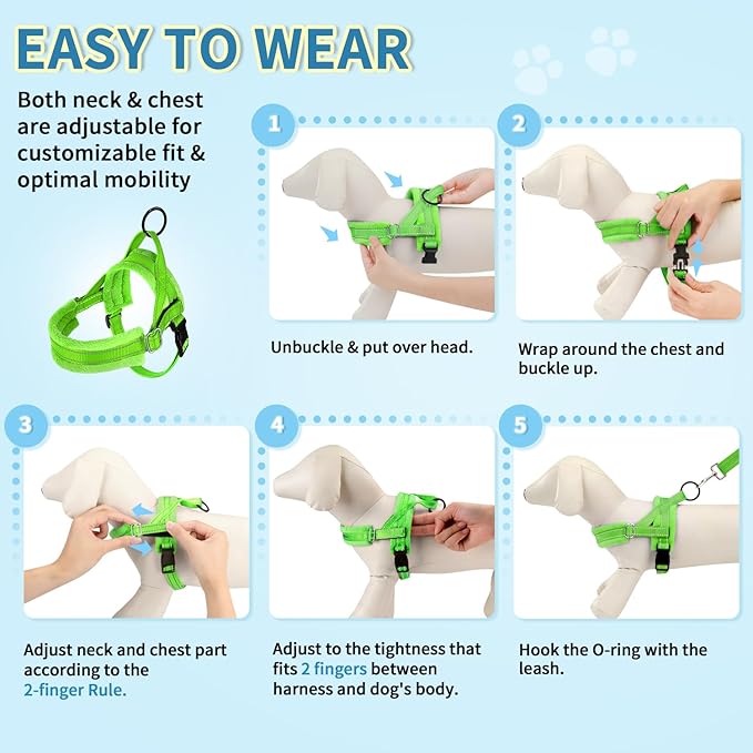 SlowTon No Pull Small Dog Harness and Leash Set, Puppy Soft Vest Harness Neck & Chest Adjustable, Reflective Lightweight & Anti-Twist Pet Lead Combo for Small Medium Dogs(G,S)