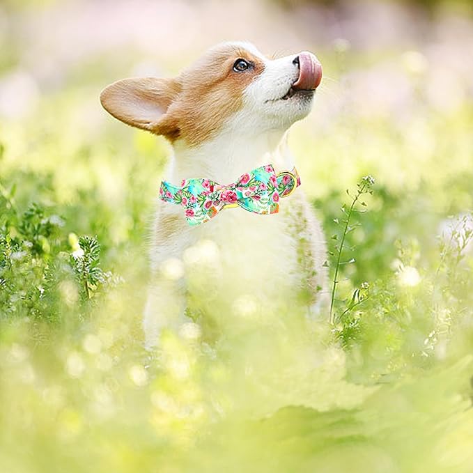Dog Collar Cute Flowers Print Pet Collar Soft Dog Collar with Bow Adjustable Metal Buckle Collar Gift Collar for Medium Dogs