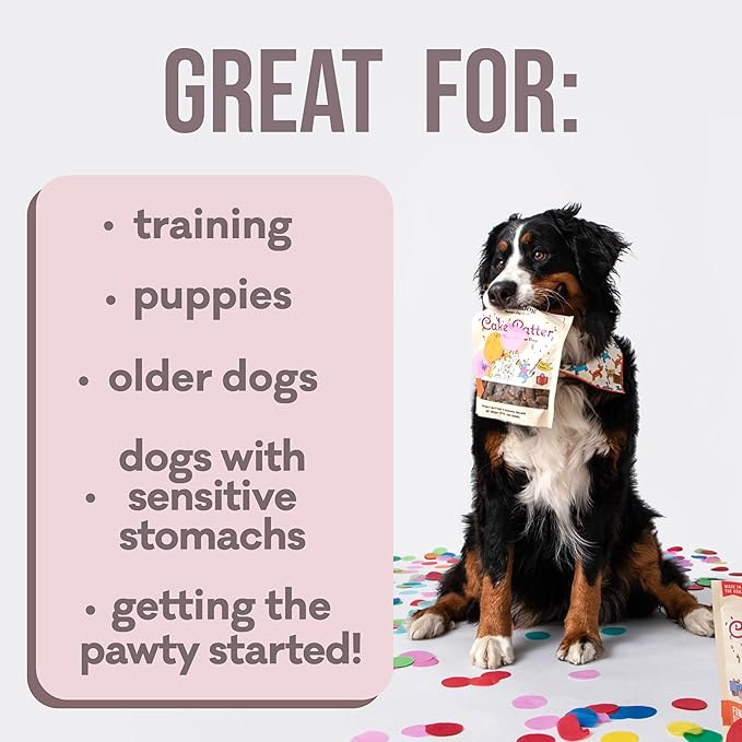 Polkadog Premium Healthy Dog Birthday Treat - Soft, Chewy & Vegan Treats - New England Peanut Butter and Banana Small Batch Recipe - Perfect Training Size, Ideal for Any Occasion | Cake Batter Flavor