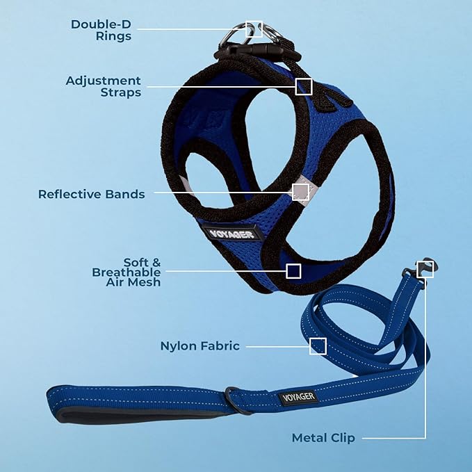 Voyager Step-in Air All Weather Mesh Harness and Reflective Dog 5 ft Leash Combo with Neoprene Handle, for Small, Medium and Large Breed Puppies by Best Pet Supplies - Royal Blue/Black Trim, XX-Small