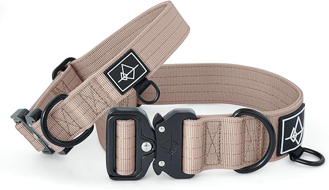 Made to ROAM Premium Dog Collar - Adjustable Heavy Duty Nylon Collar with Quick-Release Metal Buckle (Utah Glow, Classic Size 2)