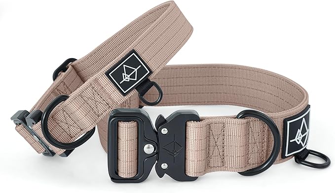 Made to ROAM Premium Dog Collar - Adjustable Heavy Duty Nylon Collar with Quick-Release Metal Buckle (Utah Glow, Classic Size 1)