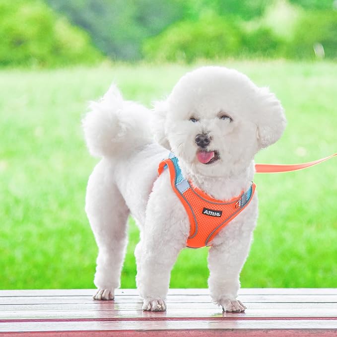 Aiitle Easy Walk Dog Harness and Leash Set - Pet Supply No Pull, Step in Adjustable Dog Harness with Padded Vest for Medium Dogs, Orange L