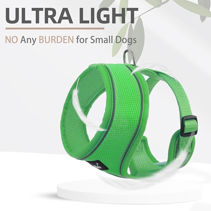 PUPTECK Soft Mesh Dog Harness and Leash Set Pet Puppy Cat Comfort Padded Vest No Pull Harnesses, Solid Green, S