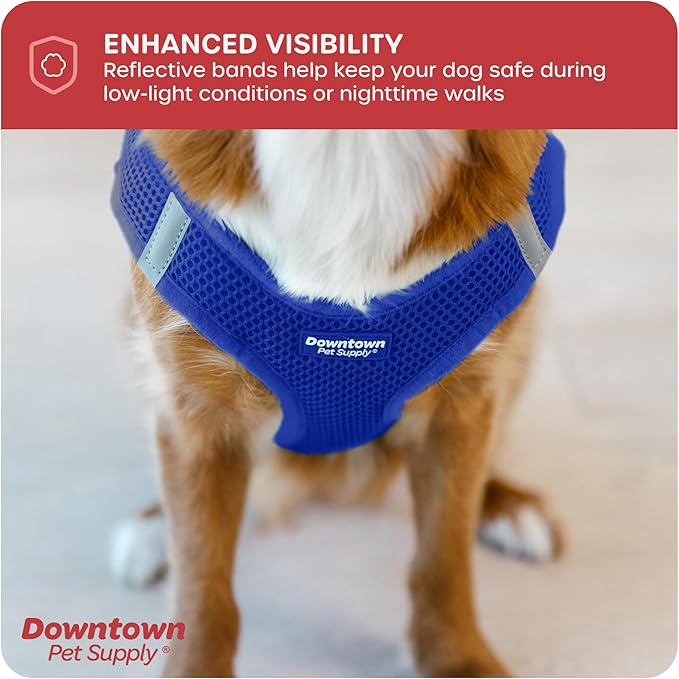 Downtown Pet Supply Step in Dog Harness for Small Dogs No Pull, X-Small, Blue - Adjustable Harness with Padded Mesh Fabric and Reflective Trim - Buckle Strap Harness for Dogs