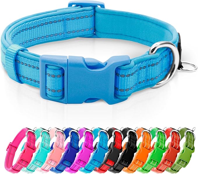 azuza Reflective Dog Collar,Soft Neoprene Padded Pet Collar with ID Tag Ring,Adjustable for Small Dogs,Sky Blue,S