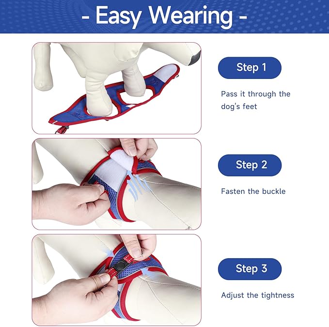 Dog Harness for Small Dogs and Leash Set, Honeycomb Grid, Reflective Lightweight Harness & Anti-Twist Pet Lead Multi Color, Size: XS-S-M. (M, Red & Blue)