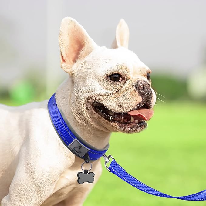 Joytale Dog Collar for Small Dogs, Neoprene Padded and Adjustable, Reflective Wide Heavy Duty Pet Collars with Durable Metal Belt Buckle for Walking, Navy Blue, S