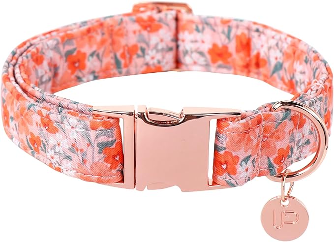 Dog Collar for Summer,Orange Flower Dog Collar,Cotton Puppy Collar with Adjustable Buckle for Small,Medium,Large Girl Boy Dog