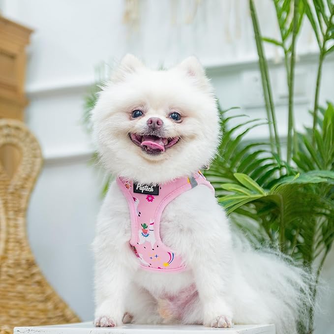 PUPTECK Adjustable Dog Harness Collar and Leash Set, Step in No Pull Pet Harness for Small Medium Dogs Puppy Cats Outdoor Walking, Soft Mesh Padded Reflective Vest Harnesses, Light Pink Alpaca, XS