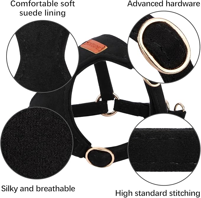 No Pull Dog Harness- Lightweight, Soft, Adjustable Small Harness Collar and Leash Set, Suitable for Cats Puppy Small and Medium-Sized Dog Outdoor Training and Running (Black, XS)