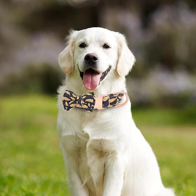 Dog Collar and Leash Set Adjustable Girls Puppy Floral Collars with Bow Tie for Small Medium Large Dogs(XS, Feather)
