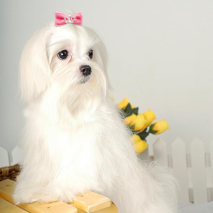 100pcs Crown Dog Hair Bows,Mix Small Medium Dog Hair Grooming Bows,Puppy Cute Solid Hair Bows with Rubber Bands for Daily Wearing Holiday Birthday Dog Hair Costume Accessories